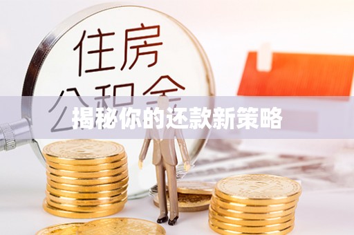 商州揭秘你的还款新策略